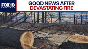 Grand Canyon to partially reopen North Rim