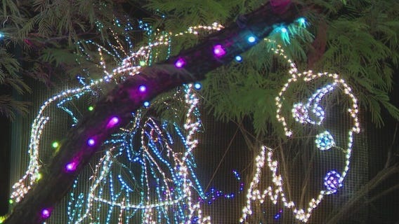 ZooLights tickets now on sale for the holidays season