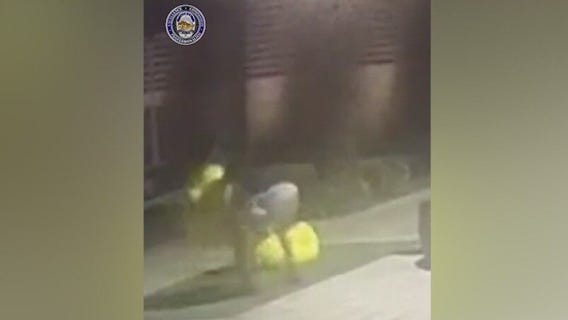 2 massive ceramic ducks stolen in Tempe