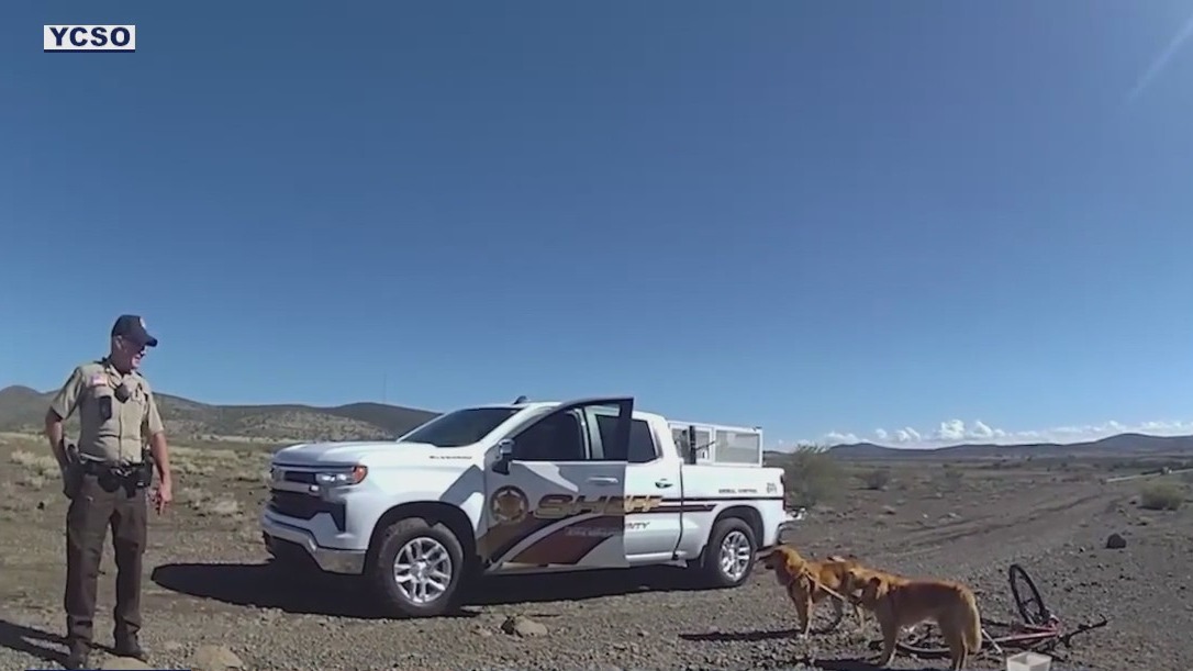 2 pups rescued after being abandoned in middle of Arizona desert