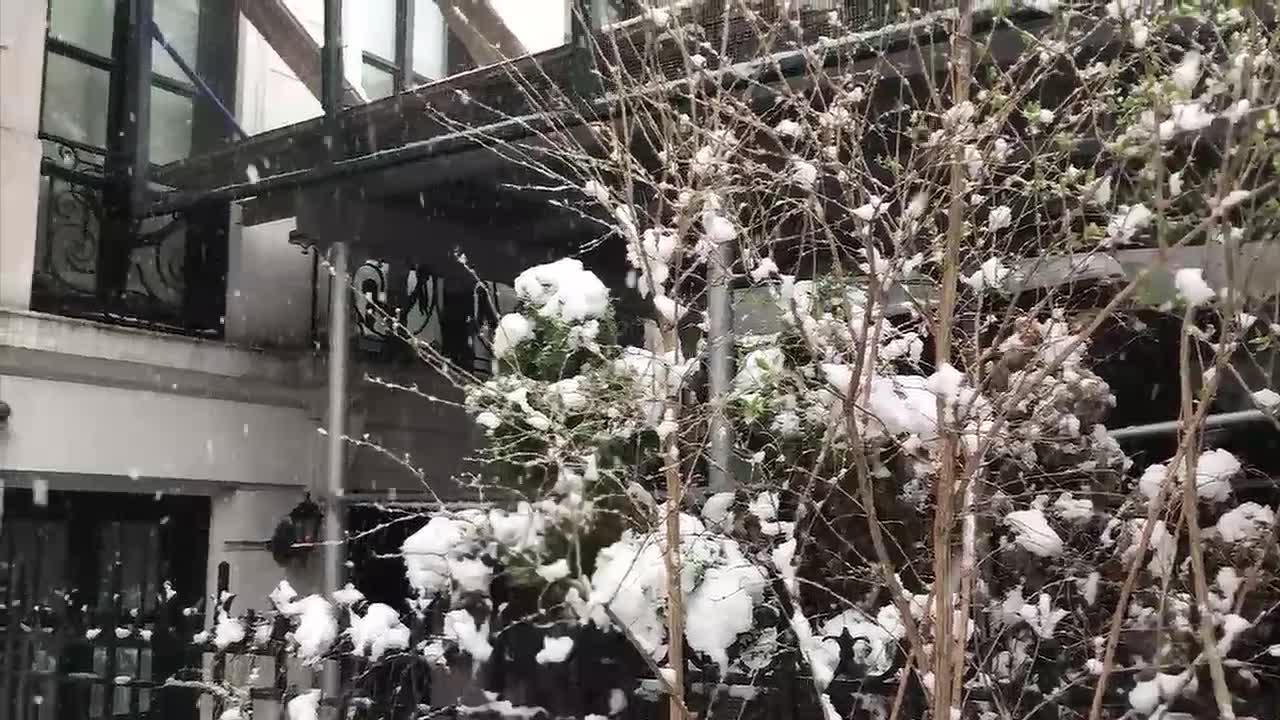 Manhattan snowfall