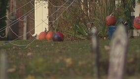 Gun pulled on Whitefish Bay trick-or-treaters, man arrested