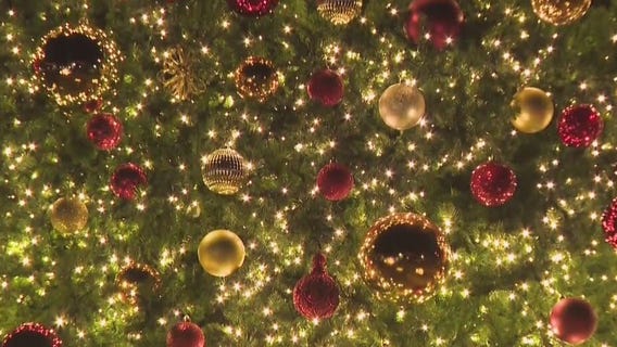 West Bend gets into the holiday spirit with Christmas tree lighting