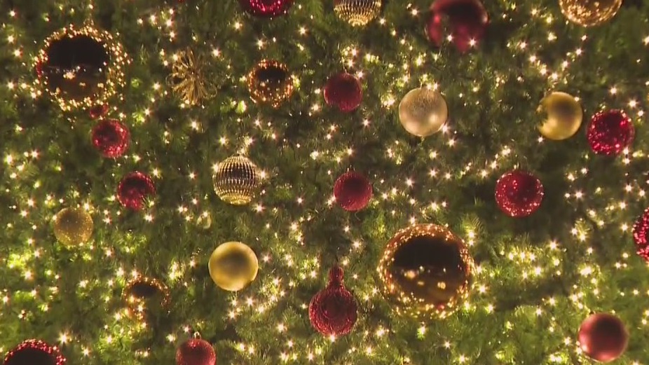 West Bend gets into the holiday spirit with Christmas tree lighting