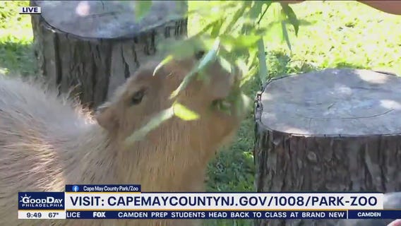 Bob at the Beach: Cape May County Zoo