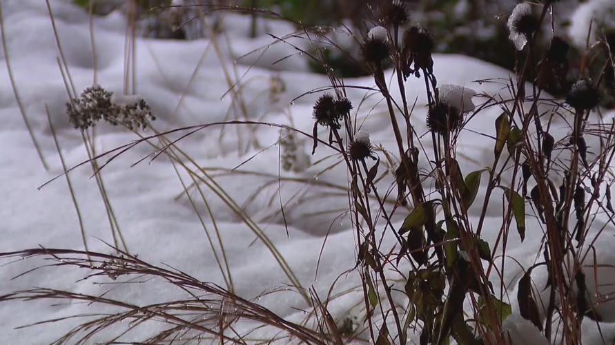 Delafield's 5 inches of snow 'a blessing and a curse'