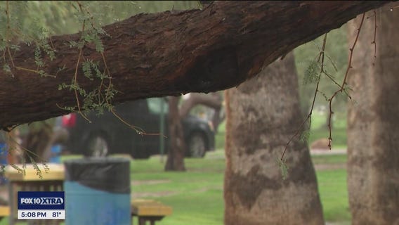 Scottsdale residents make most of rainy day weather