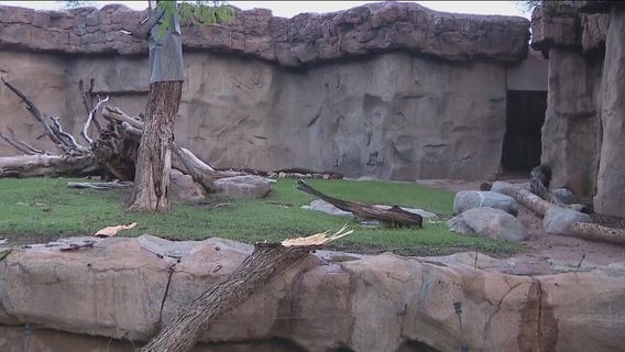 Storm damages Phoenix Zoo, knocking trees and displays down