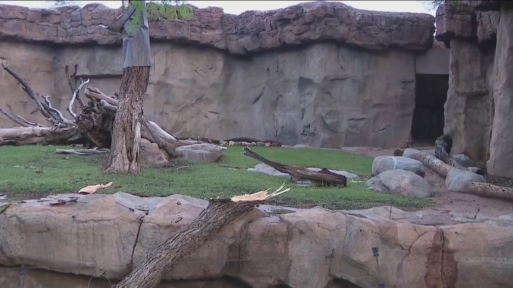 Storm damages Phoenix Zoo, knocking trees and displays down