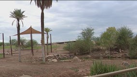 Phoenix Zoo keeps animals safe for days-long storms