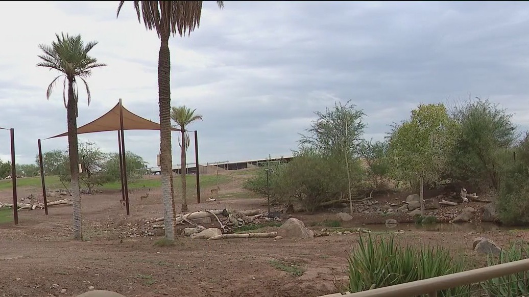 Phoenix Zoo keeps animals safe for days-long storms
