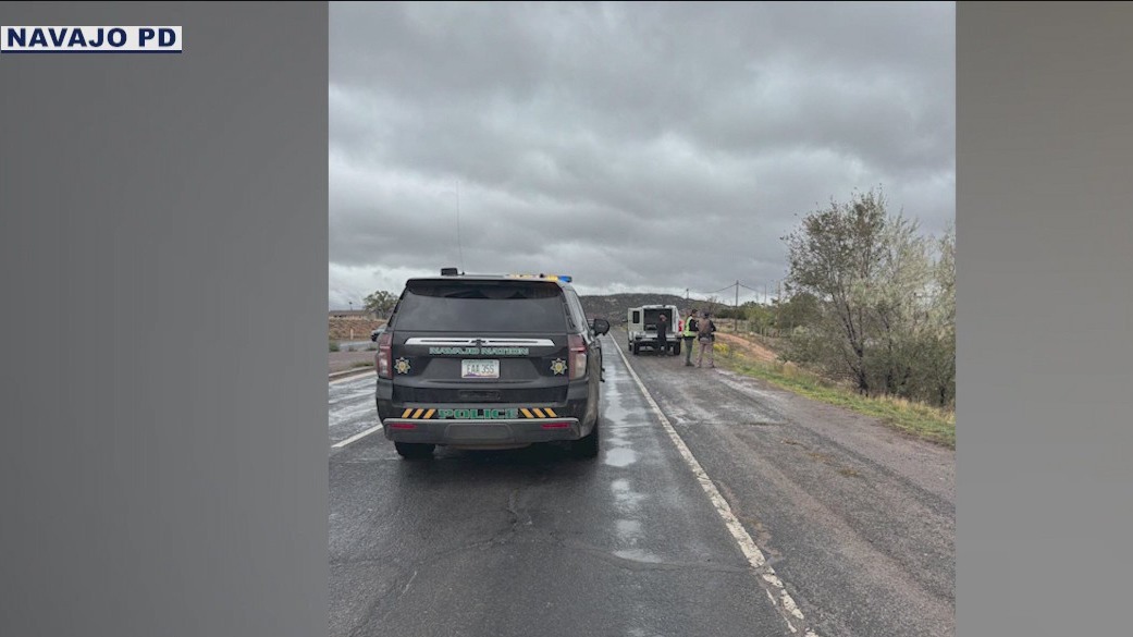 Hit-and run driver wanted for allegedly running over pedestrian, killing them