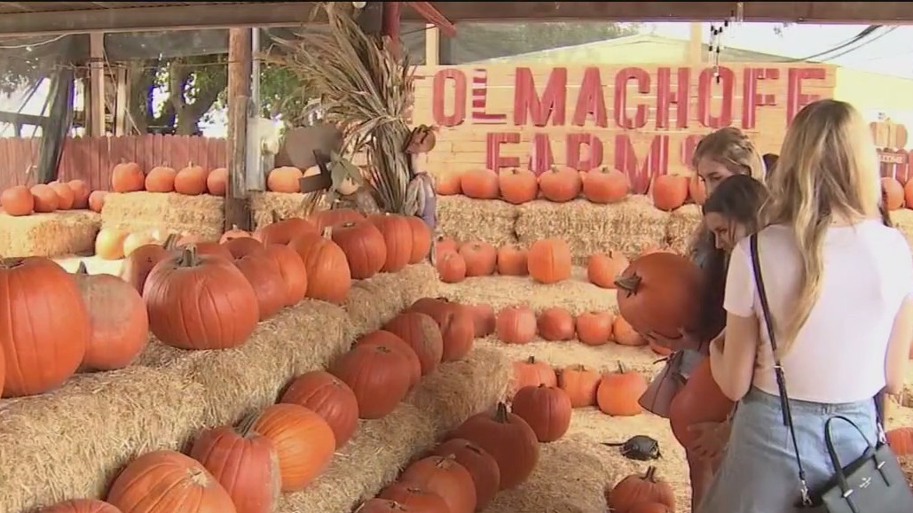 Spook-tacular fall events across the Valley