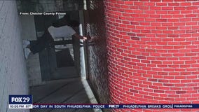 Video shows Chester County convict escape from prison yard