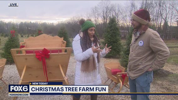 Soak up some Christmas fun at Trees for Less in Mequon