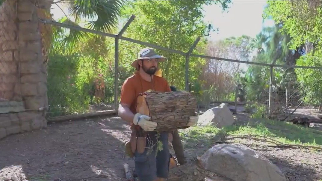 Phoenix Zoo pushes back reopening after big storm