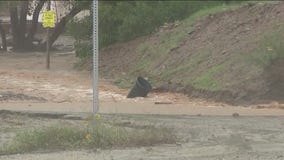 Globe flooding: AZ state gov't offers support