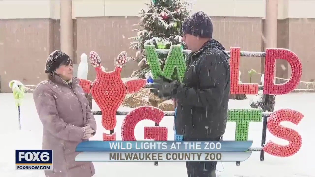 Experience the enchantment of the Wild Lights at the Zoo
