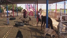 Vertuccio Farm celebrates 27 years of harvest fun