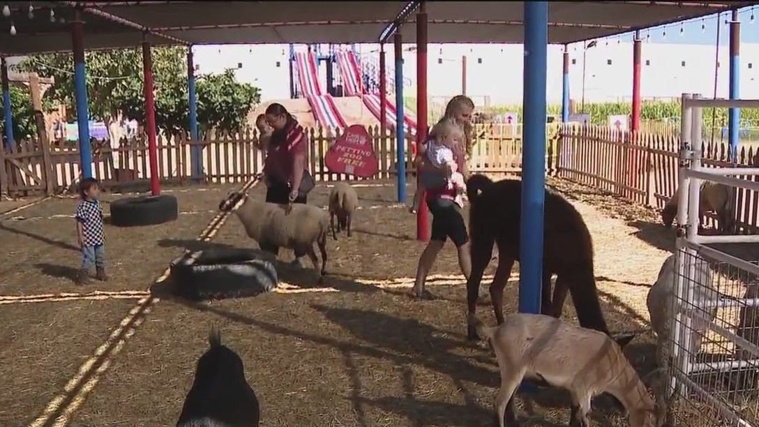 Vertuccio Farm celebrates 27 years of harvest fun