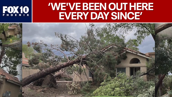 Tree crews work tirelessly as Tempe assesses storm damage