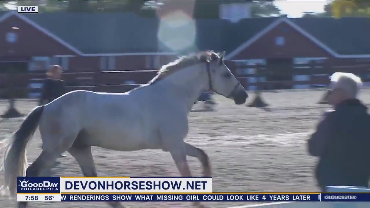 Devon Fall Classic underway in Chester County