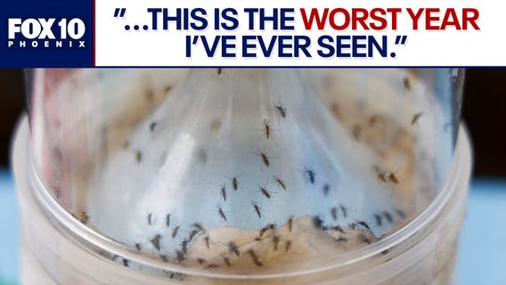 What to do to keep the mosquitoes away