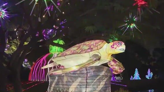 Tianyu Lights Festival returns to Phoenix