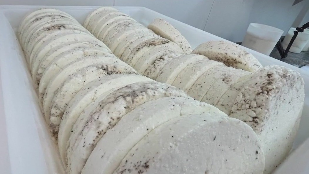 Crow's Dairy Farm | Made In Arizona