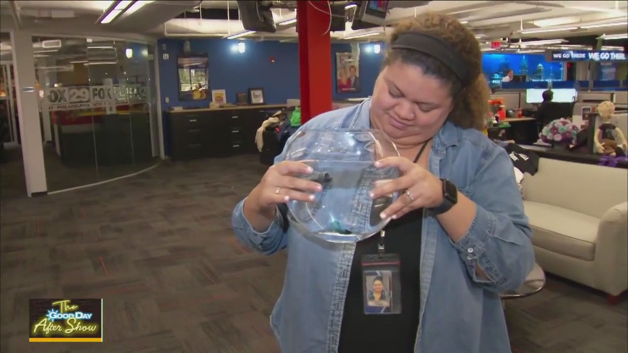 Fox 29 gets a new pet!