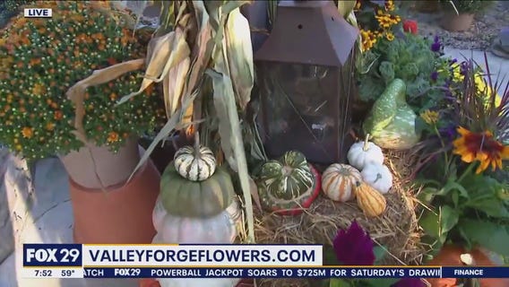 Decorate your entryway with these fall favorites