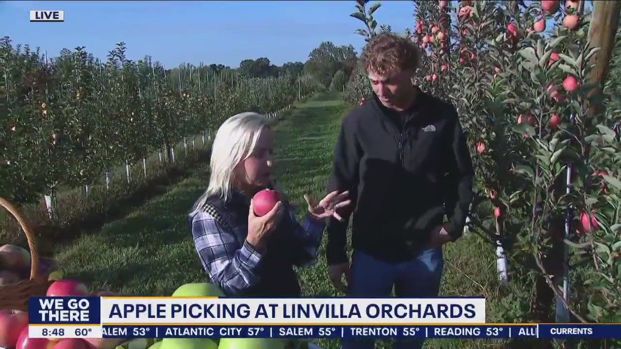 Apple Picking at Linvilla Orchards