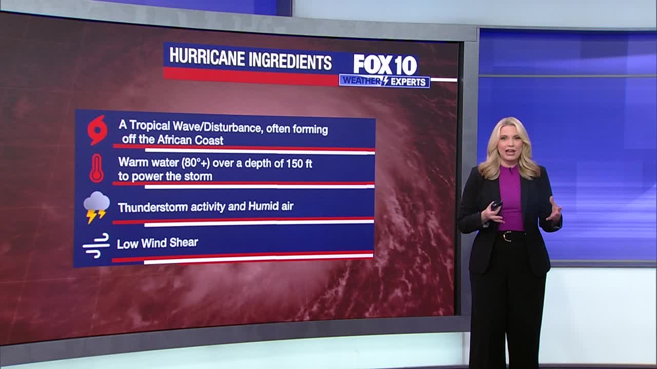 How do hurricanes form? l Weather Wisdom Wednesday