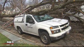 High winds cause major damage around DC region