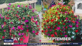 Whatcha Makin with Sue Serio - 9/29/2023