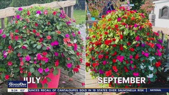 Whatcha Makin with Sue Serio - 9/29/2023