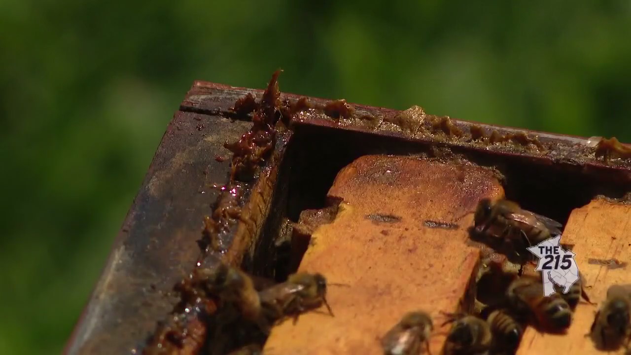 The 215: September 12, 2023