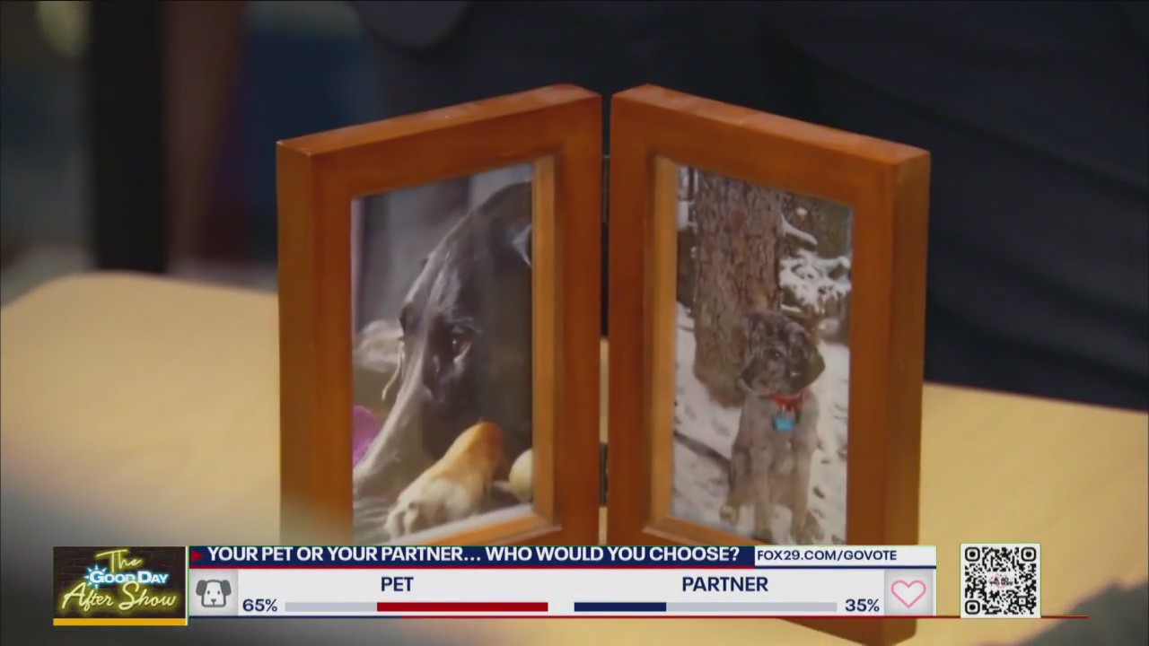 Would you choose your pet or your partner?