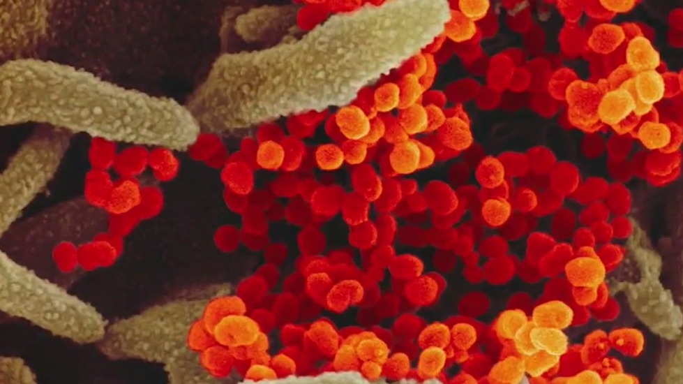 Another US agency assesses COVID-19 origin likely a Chinese 'lab leak': report