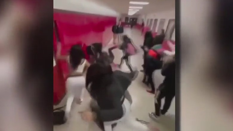 Wauwatosa school fights, 11 expulsion notifications this year