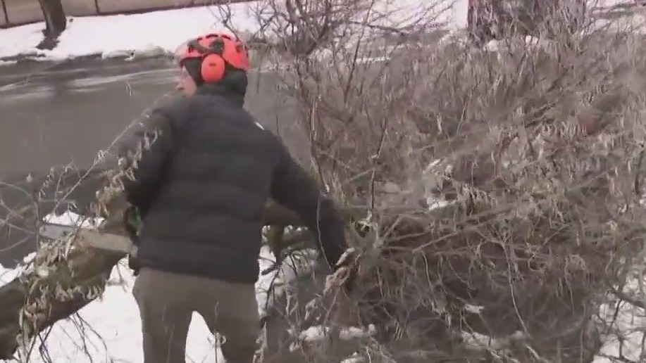 Milwaukee winter storm takes down trees | FOX6 Milwaukee