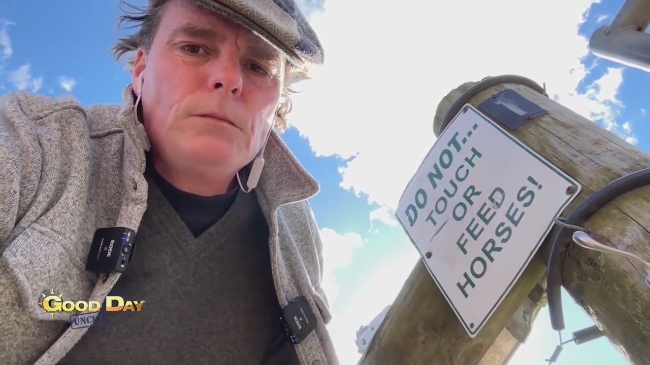 Good Day Uncut: Hank does some horsing around at Delaware Valley University