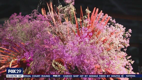 195th Philadelphia Flower Show opens