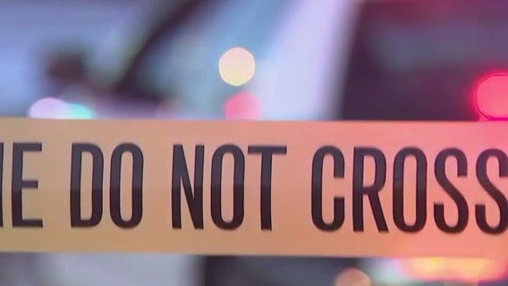 Milwaukee Common Council 5th district candidates on fighting crime