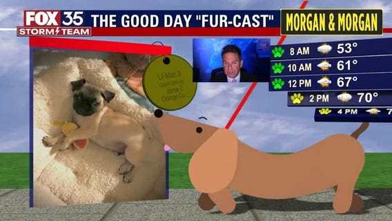 Chilly start leads to warm, comfortable day in Central Florida