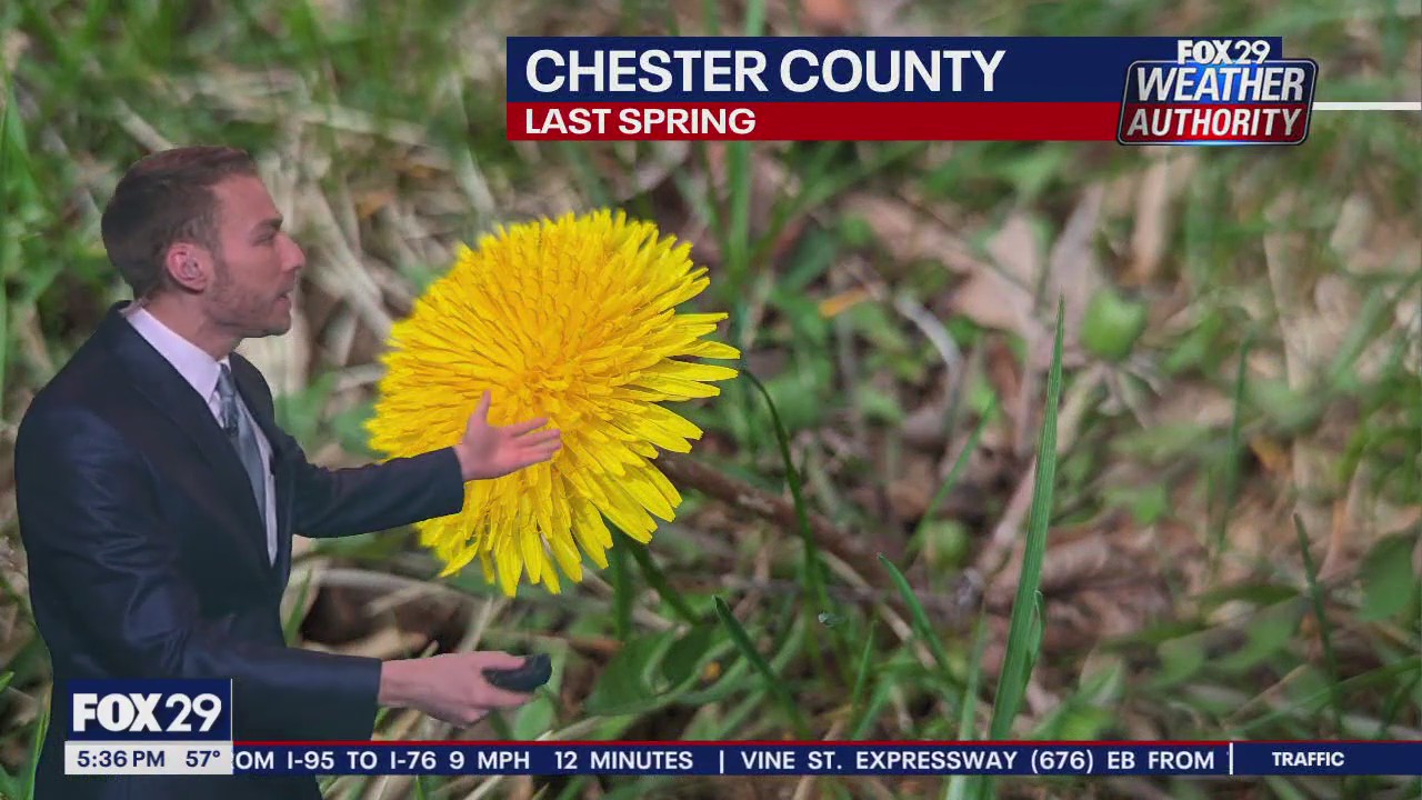 Weather Authority: Thursday 5pm forecast