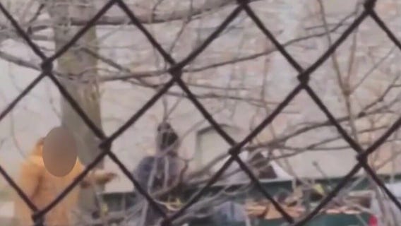 Milwaukee 31st and Walnut dumping, business owner calls it 'infuriating'