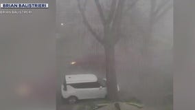 Bay View storm takes down tree, falls on Kia