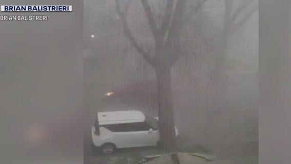 Bay View storm takes down tree, falls on Kia