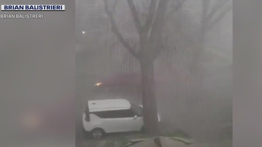 Bay View storm takes down tree, falls on Kia